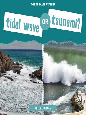 cover image of Tidal Wave or Tsunami?